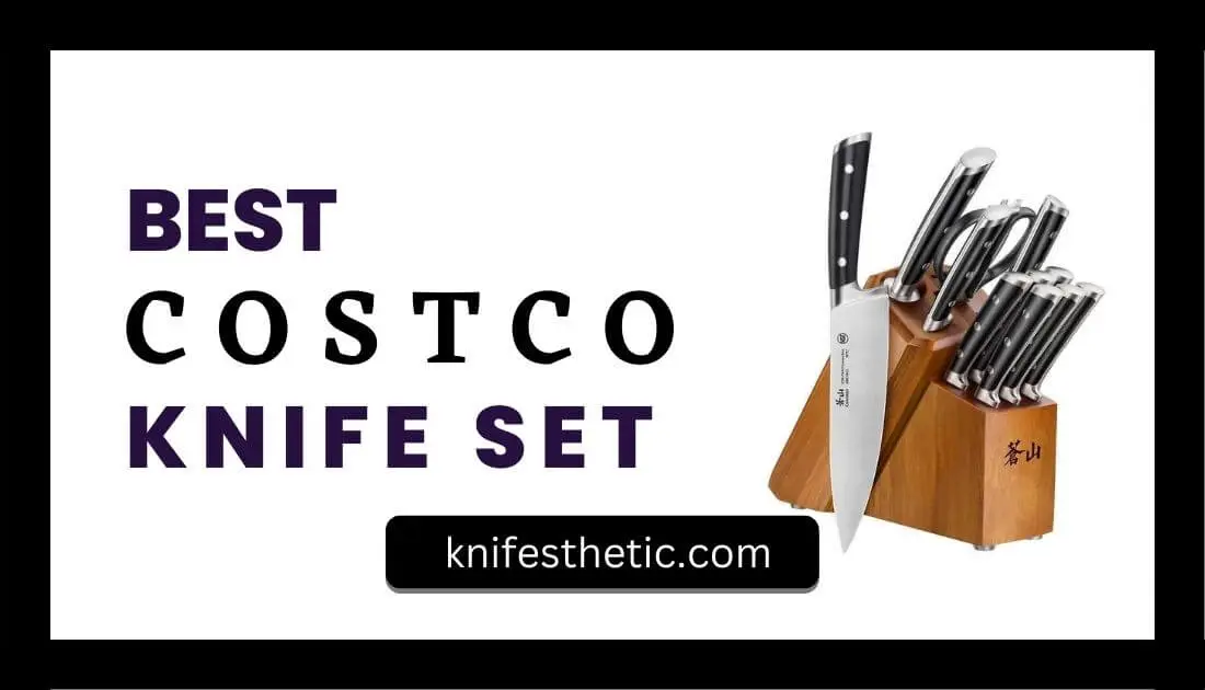 Top Best Costco Knife Set